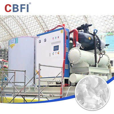 30 tona CBFI Industrial Flake Ice Machine Umjetni snježni slučaj